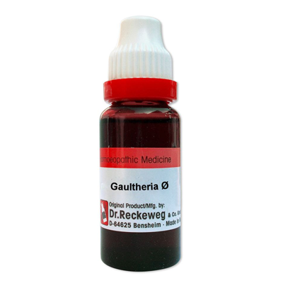 Dr. Reckeweg Gaultheria Procumbens 1X (Q)